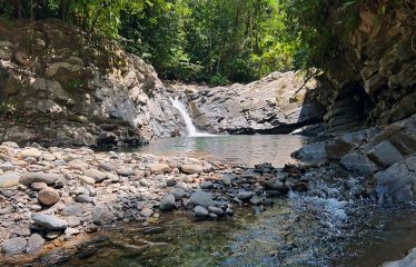 JUNGLE DREAMS FARM: WHERE NATURE MEETS SERENITY – 20 ACRES